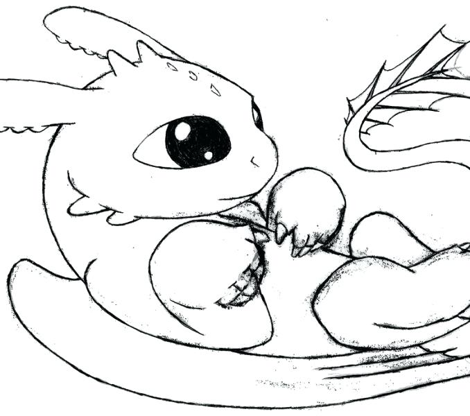678x600 Toothless Dragon Coloring Pages Cute Dragon Coloring Pages Dragon