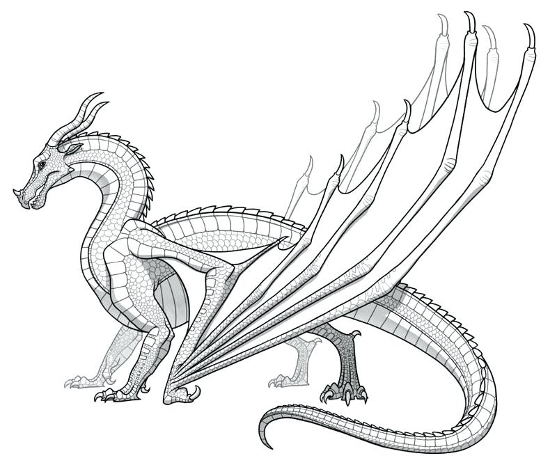 Dragon Coloring Pages Online 8 800x668 Dragon Coloring Pages Online 8
