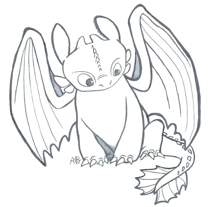 736x702 Beautiful Dragon Face Coloring Page For Toothless Dragon Coloring