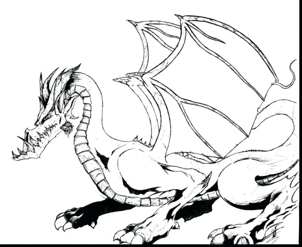 Realistic Dragon Head Coloring Pages 1024x837 Realistic Dragon Head Coloring Pages