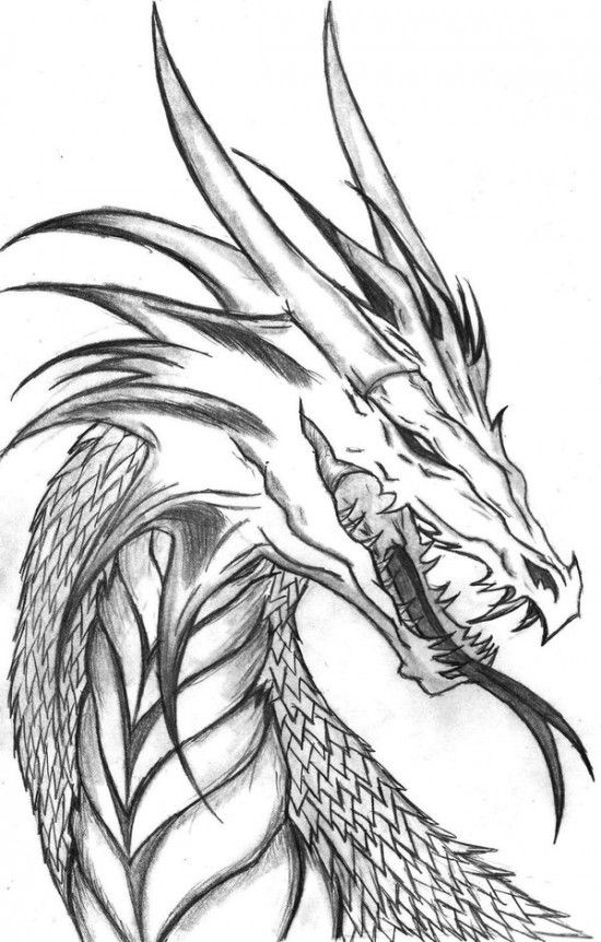 Dragon Coloring Pages Free Printable Color All About Free 550x862 Dragon Coloring Pages Free Printable Color All About Free