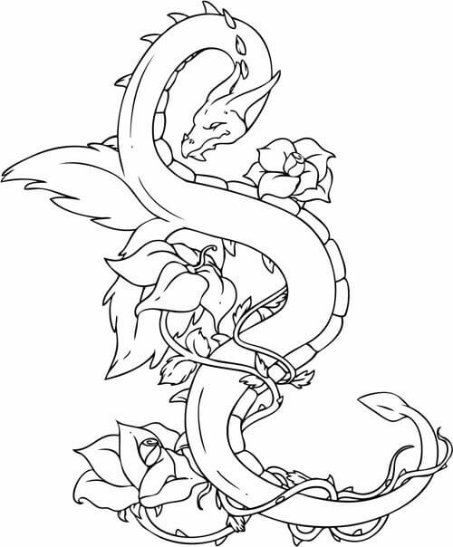 500x604 35 Free Printable Dragon Coloring Pages
