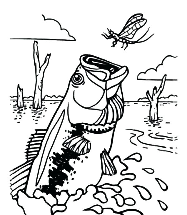 600x687 Dragonfly Coloring Page Bass Fish Catching Dragonfly Coloring