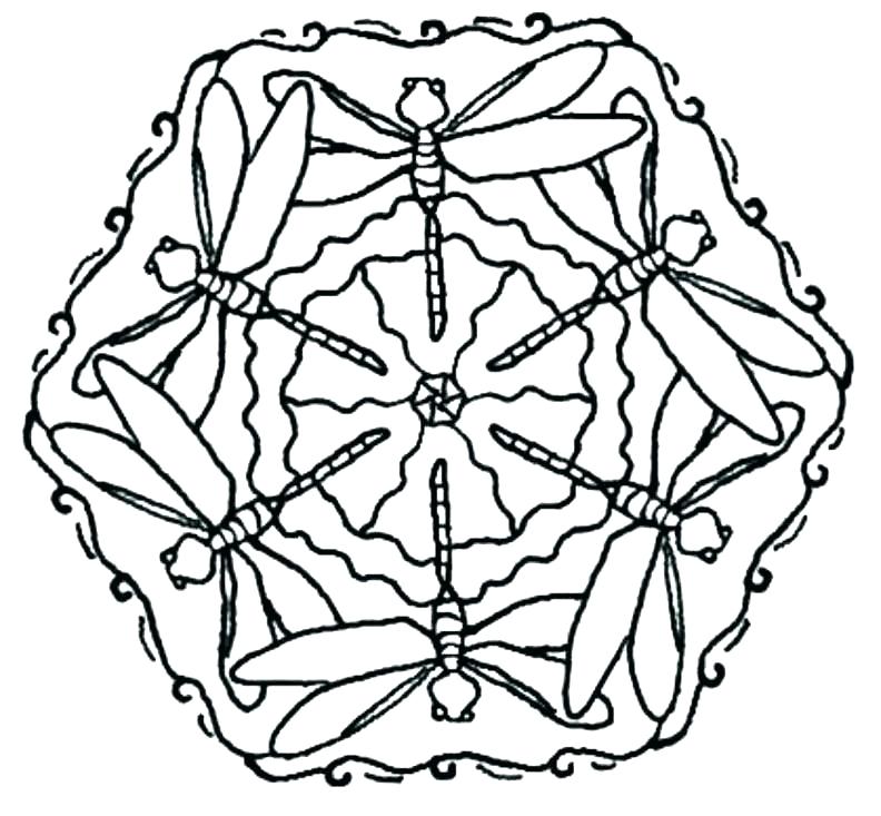 792x733 Dragonfly Coloring Page Dragonfly Coloring Page Dragonfly Coloring
