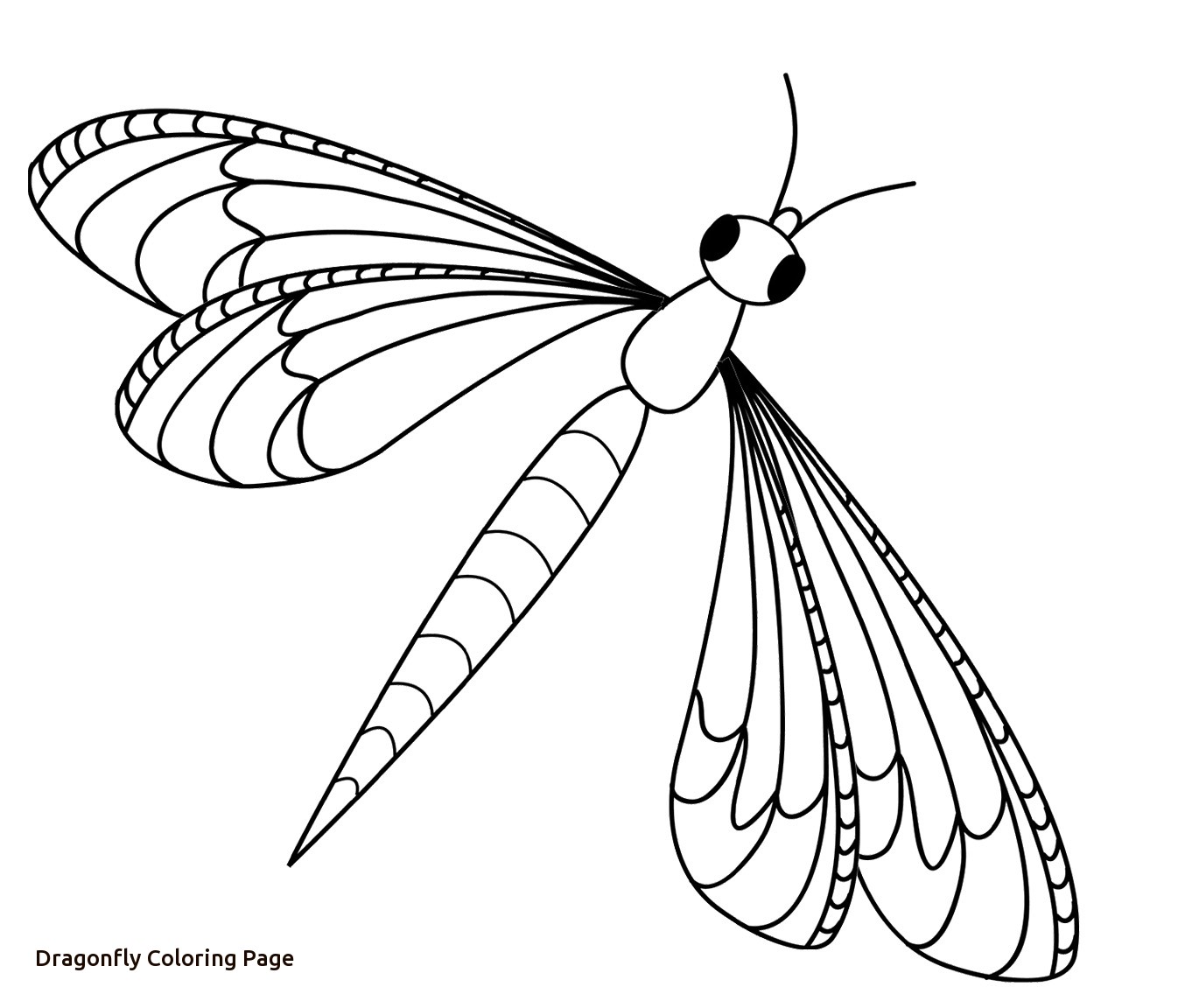 1362x1152 Dragonfly Coloring Pages Isolution Me Inside Page