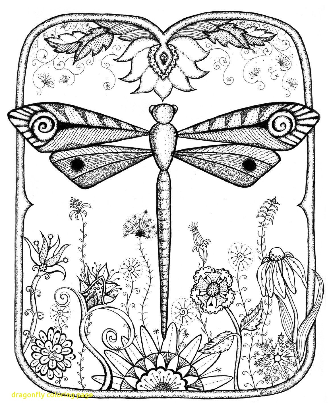 1157x1444 Dragonfly Coloring Pages Page With Garden Abstract Doodle