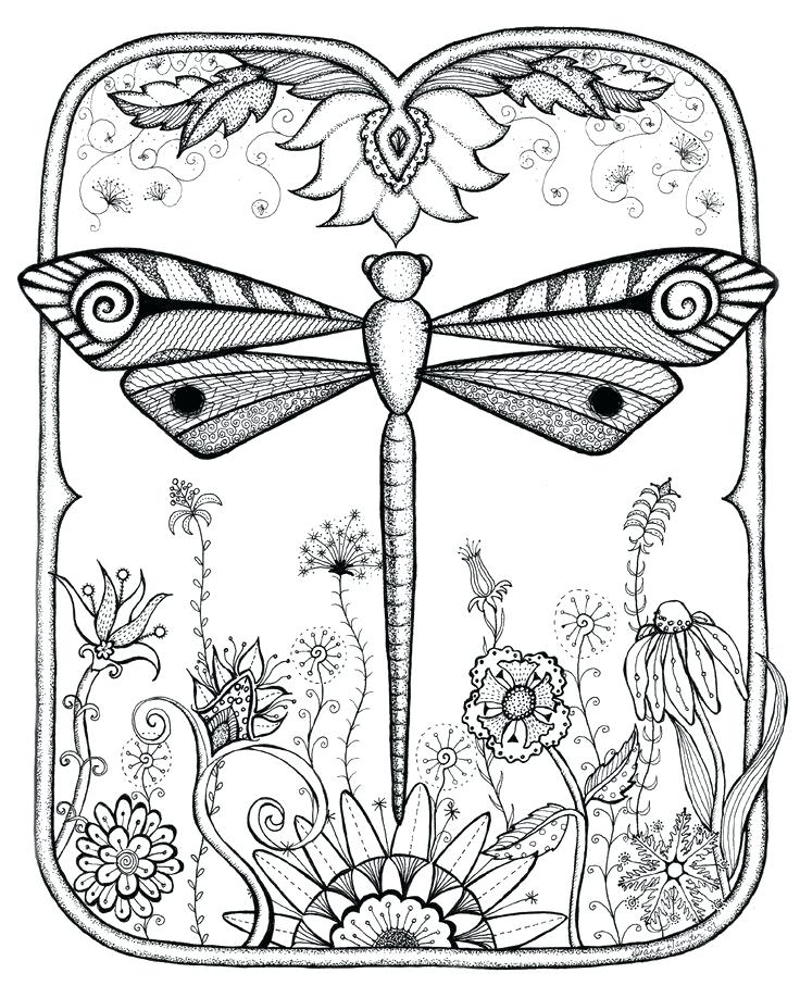 736x918 Dragonfly Pictures Coloring Pages Printable Coloring Hard