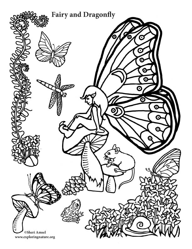 612x792 Fairy And Dragonfly Coloring Page