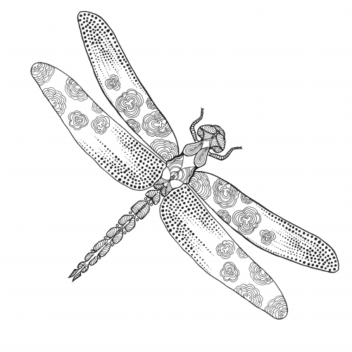 500x500 Free Dragonfly Adult Coloring Page Adult Coloring, Stress Free