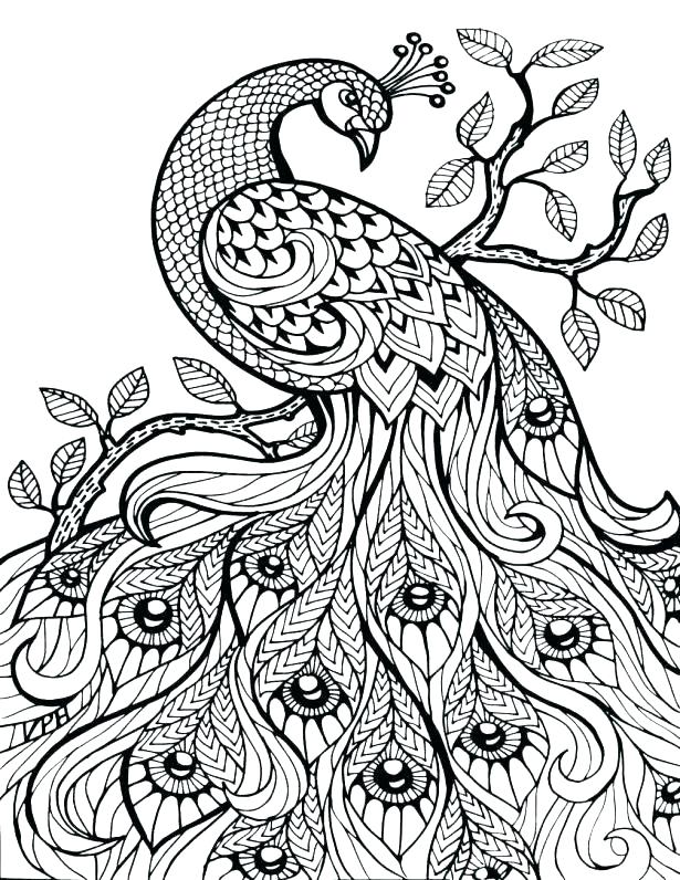 Dragonfly Coloring Page Fantastic Animals Ng Book Ng Book Animals 615x796 Dragonfly Coloring Page Fantastic Animals Ng Book Ng Book Animals