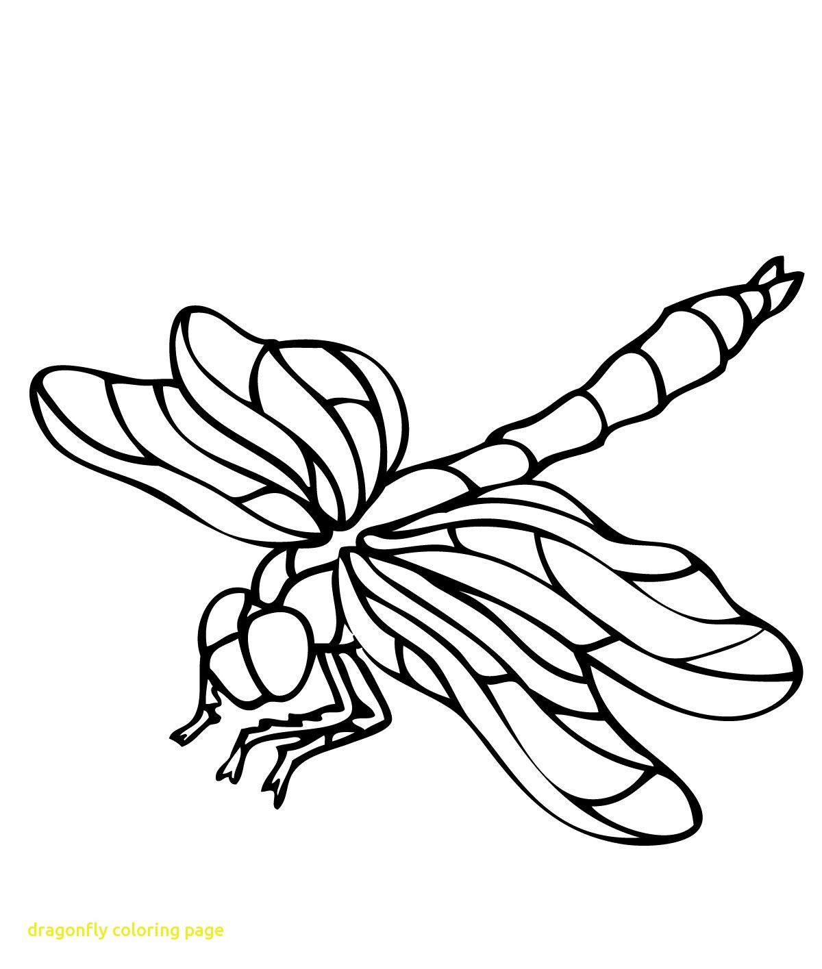 Dragonfly Coloring Pages For Adults Acpra 1200x1415 Dragonfly Coloring Pages For Adults Acpra