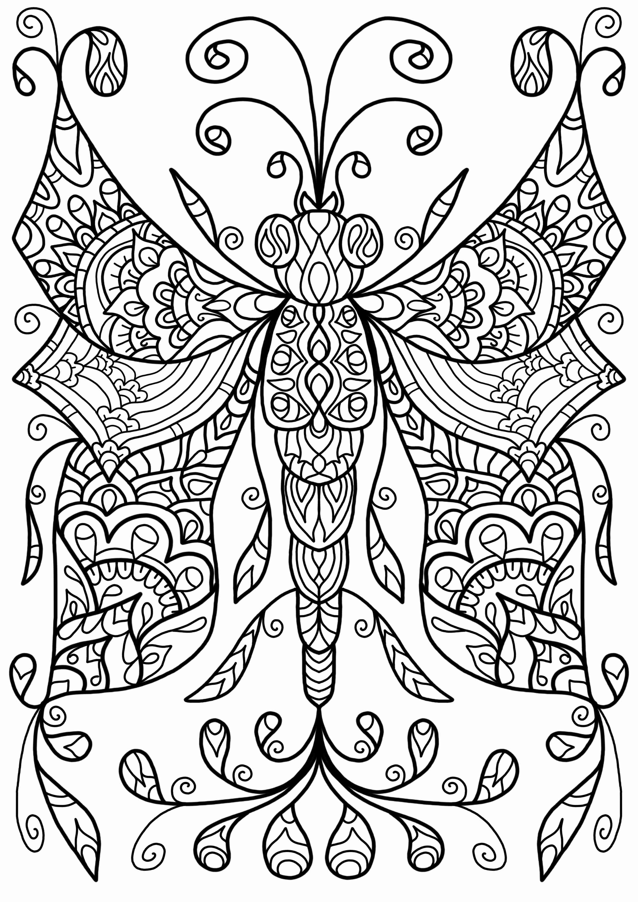 Dragonfly Coloring Pages For Adults Olegratiy 2480x3508 Dragonfly Coloring Pages For Adults Olegratiy