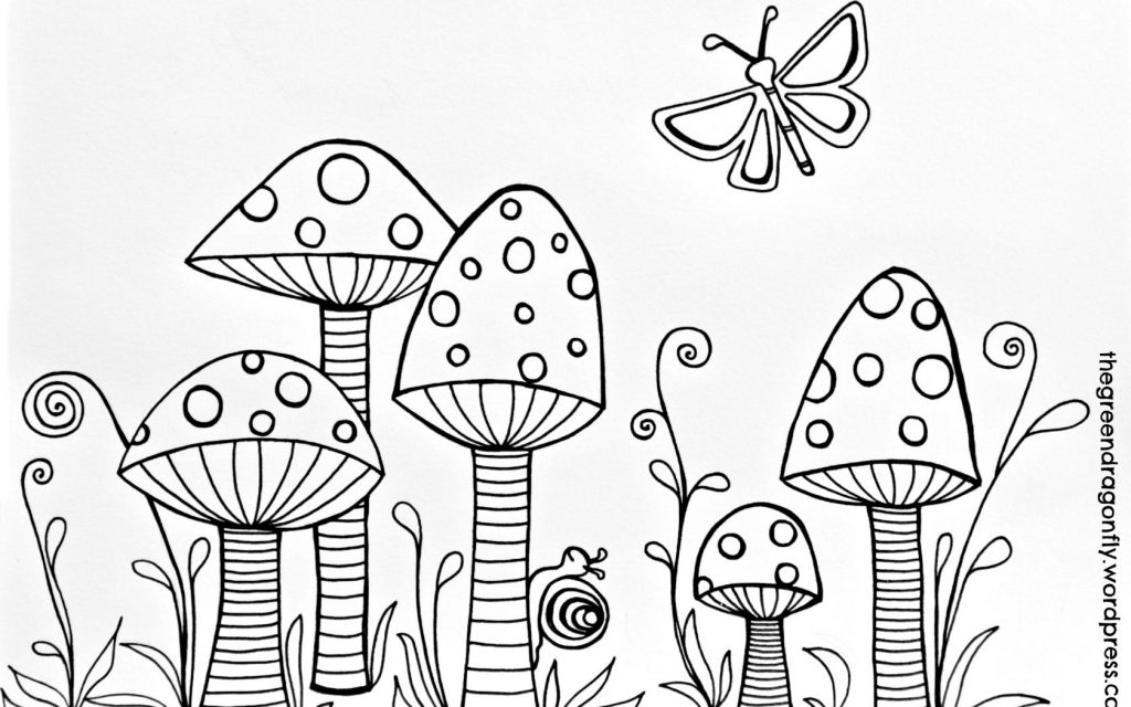 Dragonfly Coloringge With Printableges Animals Of Photos Concept 1024x640 Dragonfly Coloringge With Printableges Animals Of Photos Concept