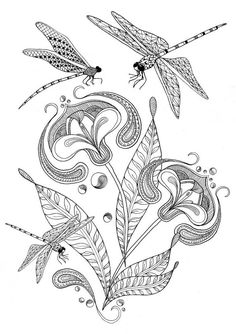 Butterflies Amp Dragonflies Free Coloring Page Download For Adults 236x334 Butterflies Amp Dragonflies Free Coloring Page Download For Adults
