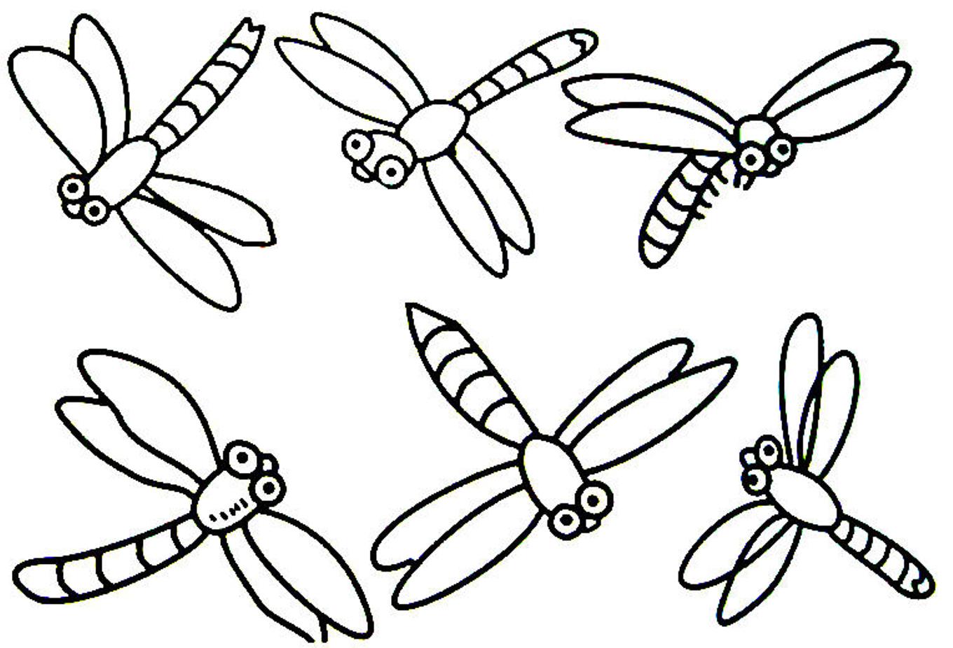 1360x926 Dragonfly Coloring Page Pages Isolution Me