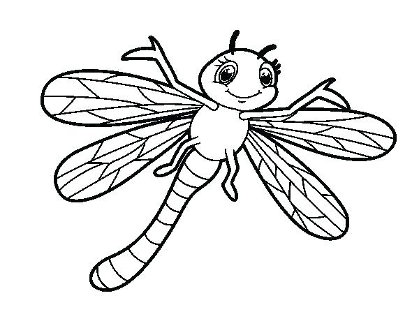 600x470 Dragonfly Mandala Coloring Pages Coloring For Kids Dragonfly