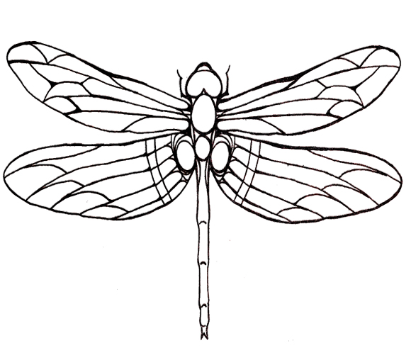 Dragonfly Coloring Pages Printable at GetColorings.com | Free printable ...