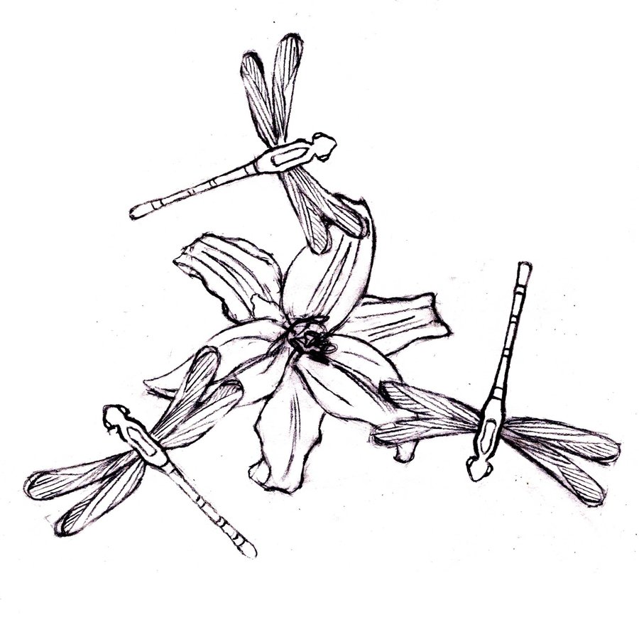 900x876 Free Printable Dragonfly Coloring Pages For Kids