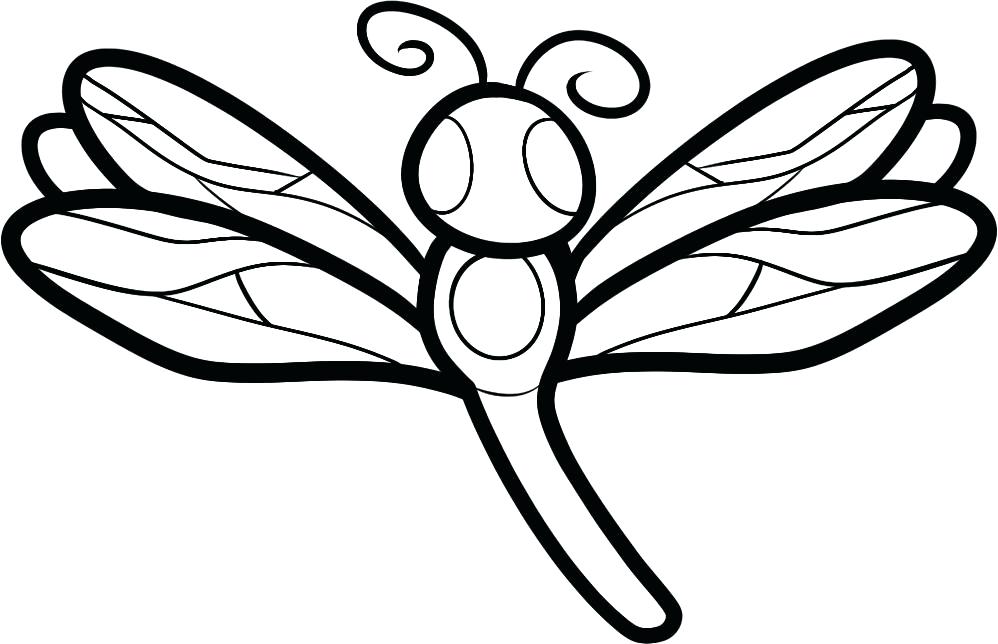 998x644 Contemporary Ideas Dragonfly Coloring Pages Free Printable