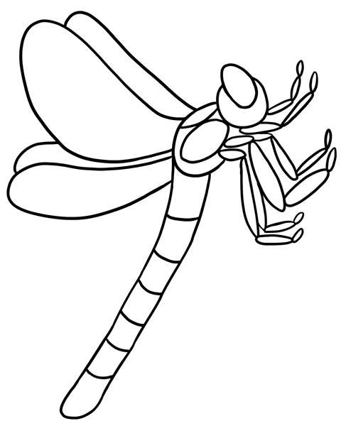 480x600 Dragonfly Coloring Page Bug Museum Bug Coloring Pages Dragonfly 4