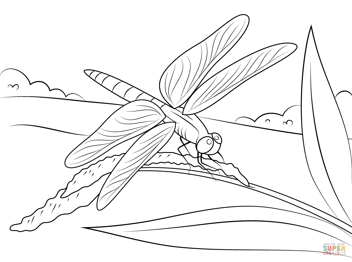 1199x894 Dragonfly Coloring Page Printable Coloring Pages