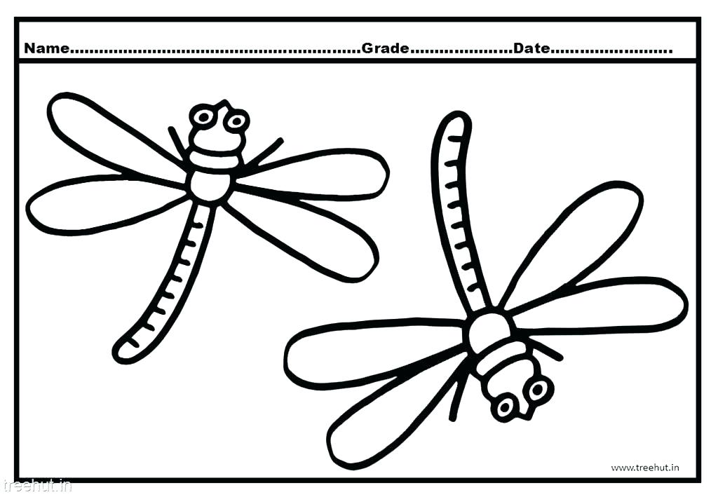 1024x709 Dragonfly Coloring Page Bass Coloring Pages Dragonfly Coloring