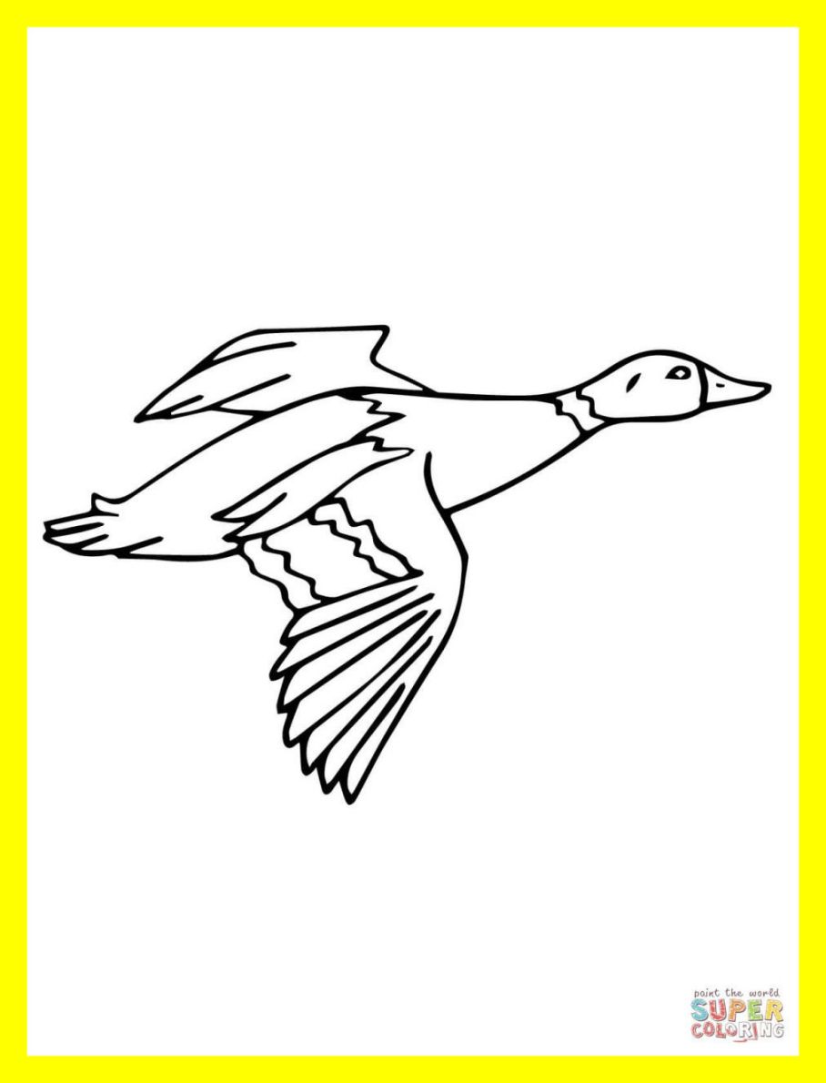 908x1190 Amazing Drake Coloring Pages With Wallpaper Apurjacouture Pics