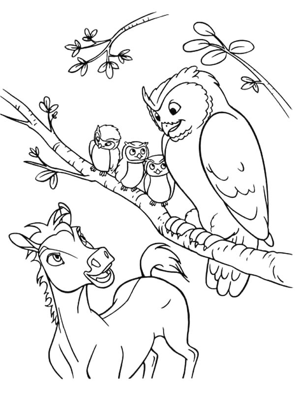 600x800 31 Best Spirit Coloring Pages Images On Horse Coloring
