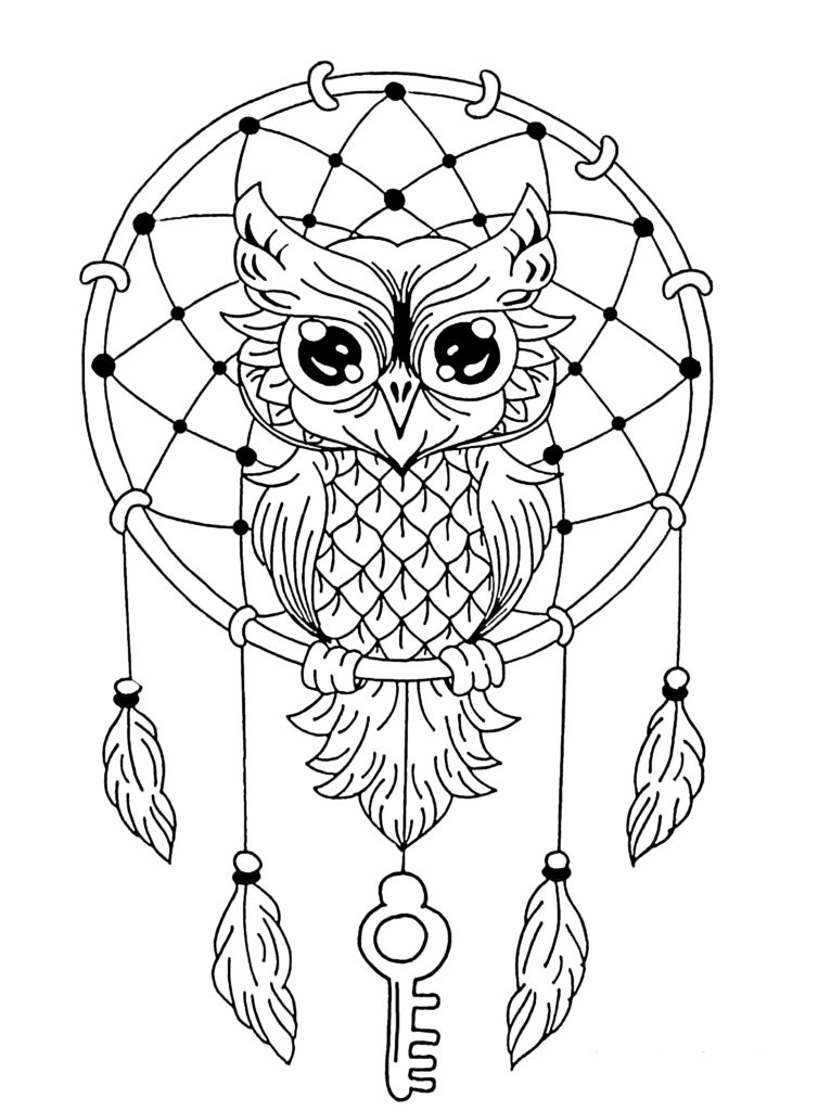 Dream Catcher Coloring Page Owl Dreamcatcher Owls Pages For Adults 754x1024 Dream Catcher Coloring Page Owl Dreamcatcher Owls Pages For Adults