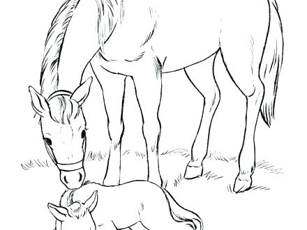 440x330 Breyer Coloring Pages Coloring Pages Horse Coloring Pages Coloring
