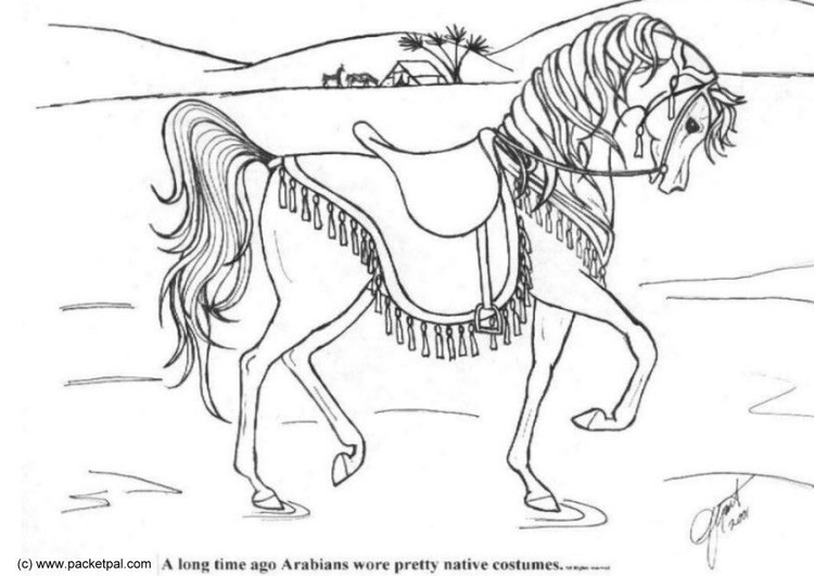 Coloring Page Dressage 750x531 Coloring Page Dressage