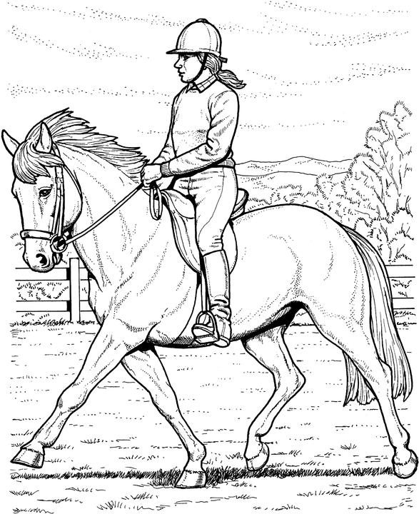 Free Horse Coloring Pages 587x720 Free Horse Coloring Pages