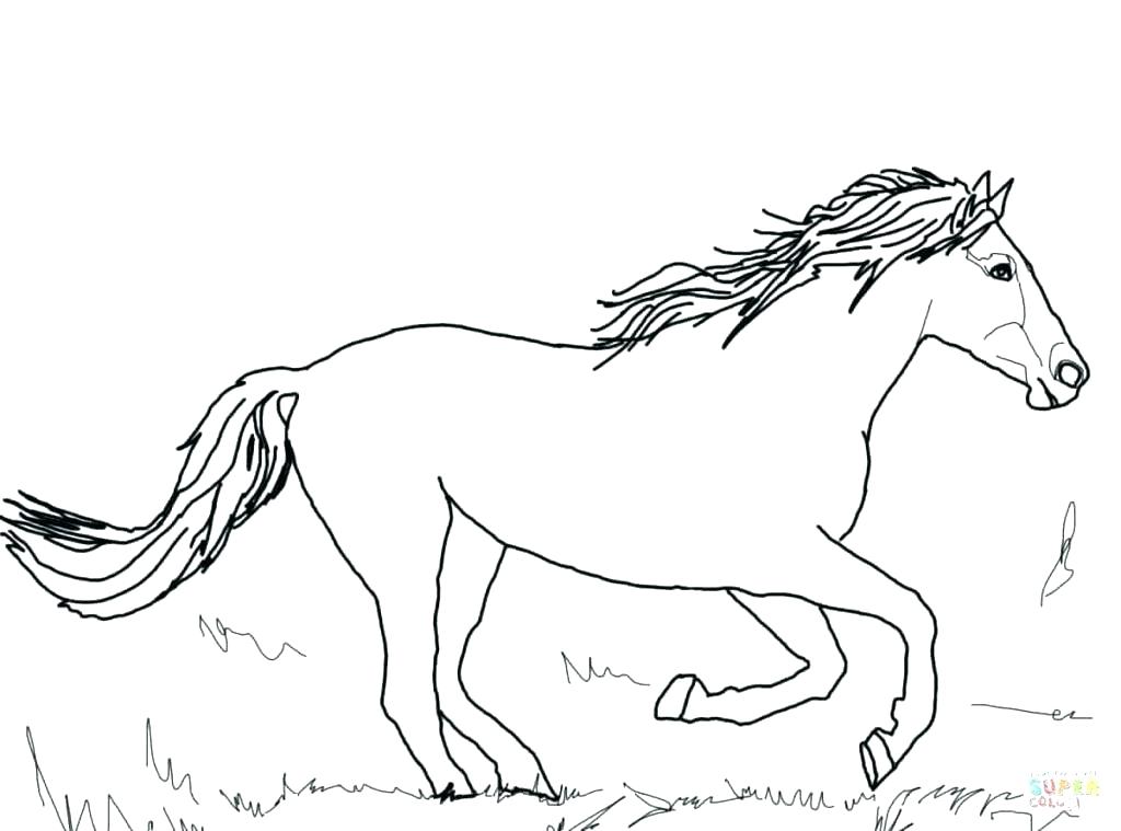 Horses Coloring Pages Free Printable Horse Coloring Pages Horses 1024x759 Horses Coloring Pages Free Printable Horse Coloring Pages Horses