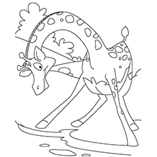 230x230 Top 20 Free Printable Giraffe Coloring Pages Online