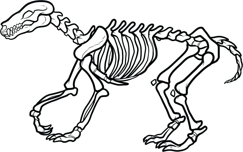 Skull And Crossbones Coloring Pages Bone Coloring Page Dog Bones 1024x642 Skull And Crossbones Coloring Pages Bone Coloring Page Dog Bones