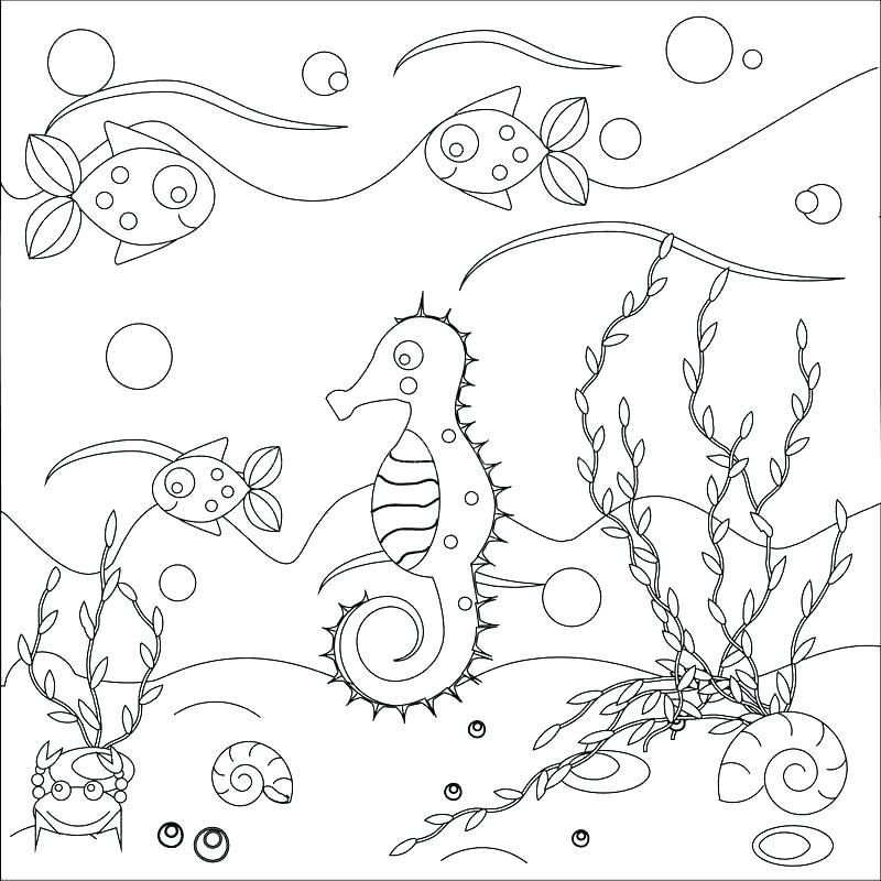 800x800 Sea Life Online Coloring Pages