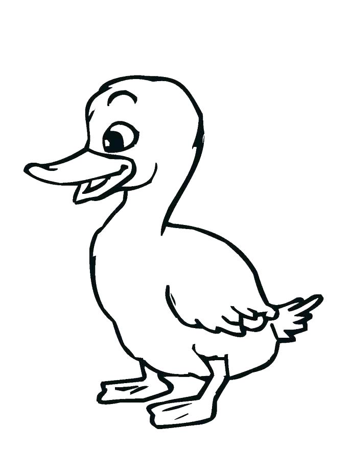 Duck Coloring Pages Rubber Duck Coloring Page Little Rubber Ducks 685x886 Duck Coloring Pages Rubber Duck Coloring Page Little Rubber Ducks