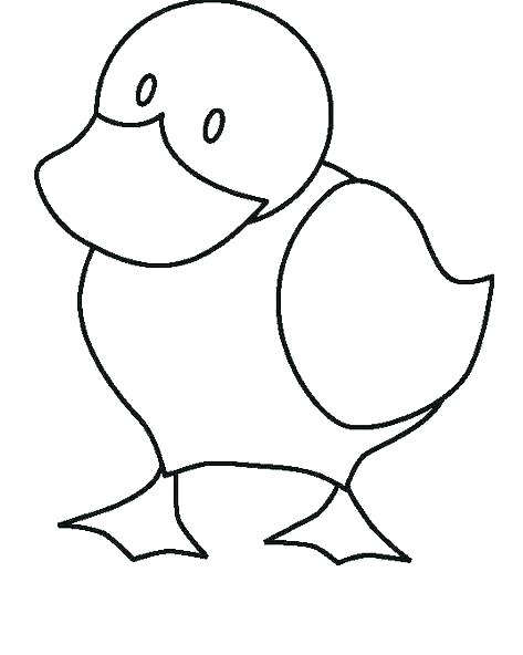 Ducks Coloring Pages 473x592 Ducks Coloring Pages