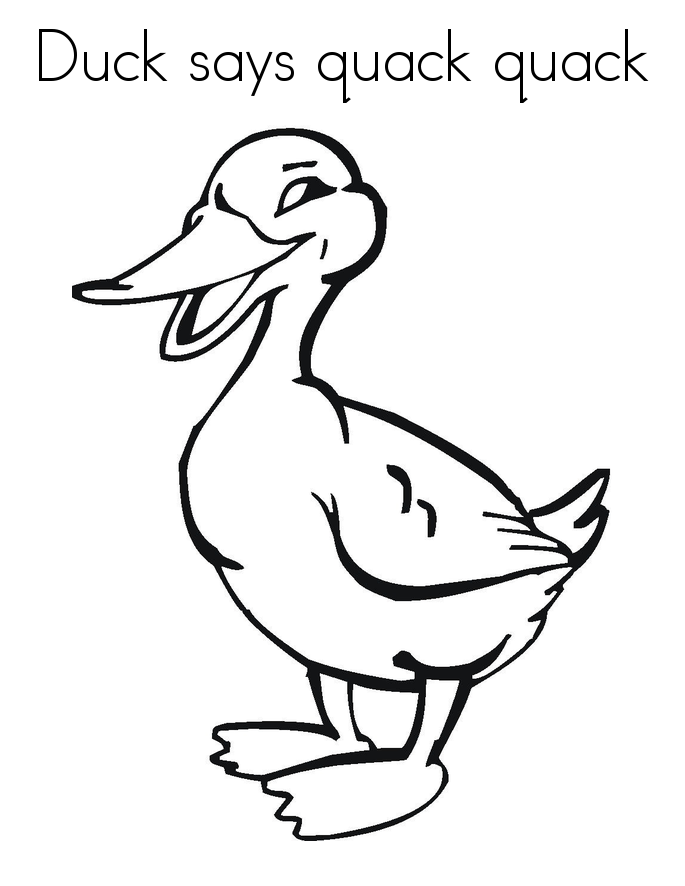 Free Printable Duck Coloring Pages For Kids 685x886 Free Printable Duck Coloring Pages For Kids