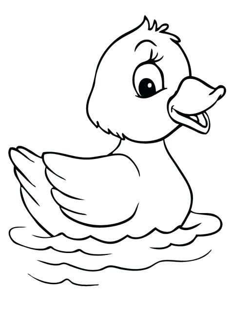 Rubber Duck Colouring Simple Free Printable Coloring Pages 478x640 Rubber Duck Colouring Simple Free Printable Coloring Pages