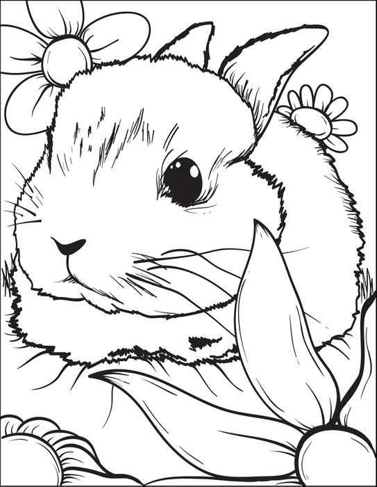 Bunny Coloring Book Funny Bunny Coloring Book To Bunny Coloring 543x700 Bunny Coloring Book Funny Bunny Coloring Book To Bunny Coloring