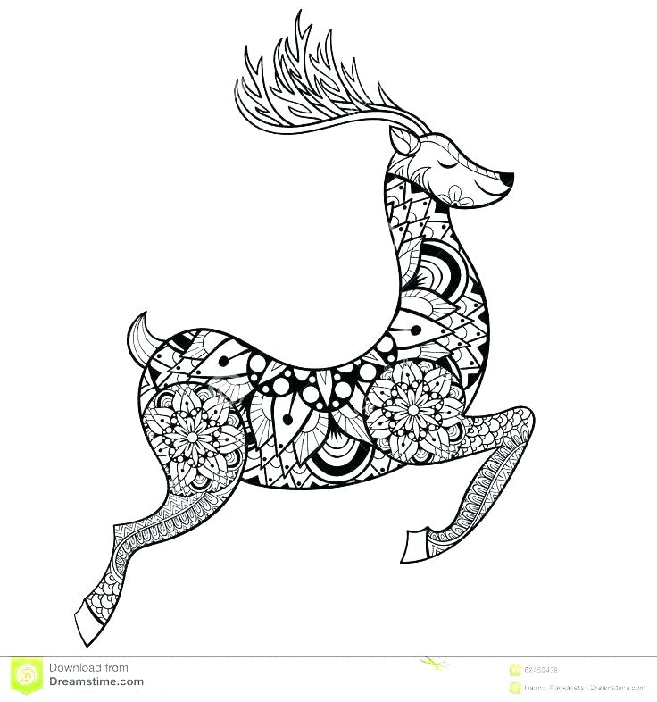 Deer Hunting Coloring Pages Duck Hunting Coloring Pages Hunter 736x786 Deer Hunting Coloring Pages Duck Hunting Coloring Pages Hunter