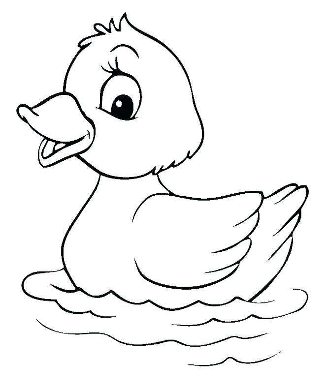 Duckling Coloring Page Duck Color Page Simple Drawing Of A Duck 660x791 Duckling Coloring Page Duck Color Page Simple Drawing Of A Duck