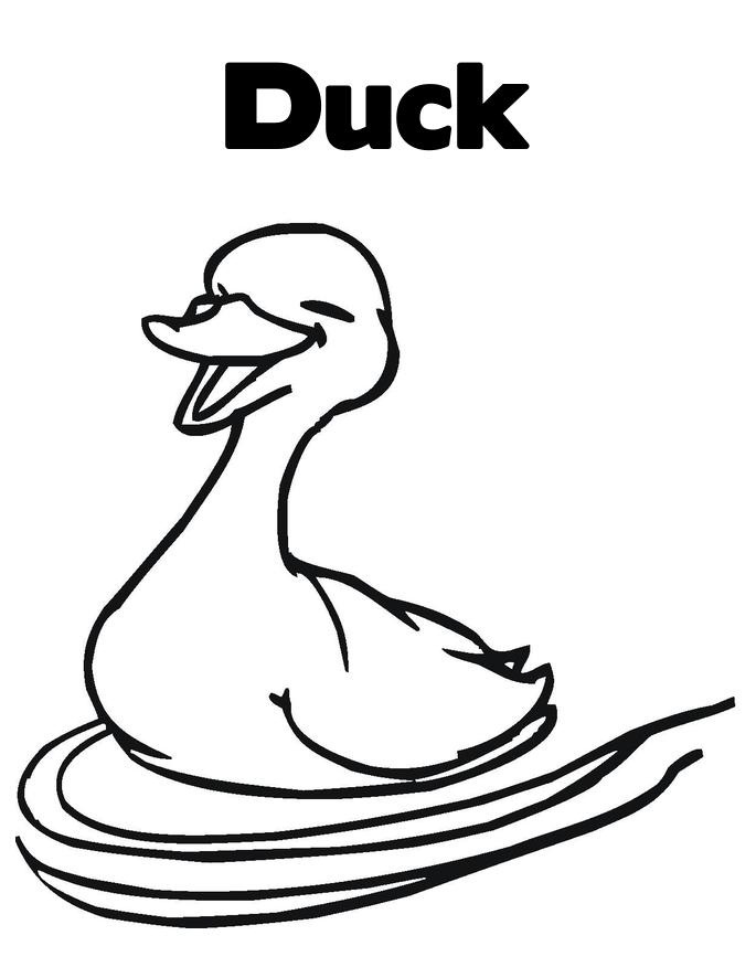 Free Printable Duck Coloring Pages For Kids 685x886 Free Printable Duck Coloring Pages For Kids