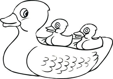 Rubber Duck Coloring Page Drawn Duckling Coloring Book 3 Rubber 476x333 Rubber Duck Coloring Page Drawn Duckling Coloring Book 3 Rubber