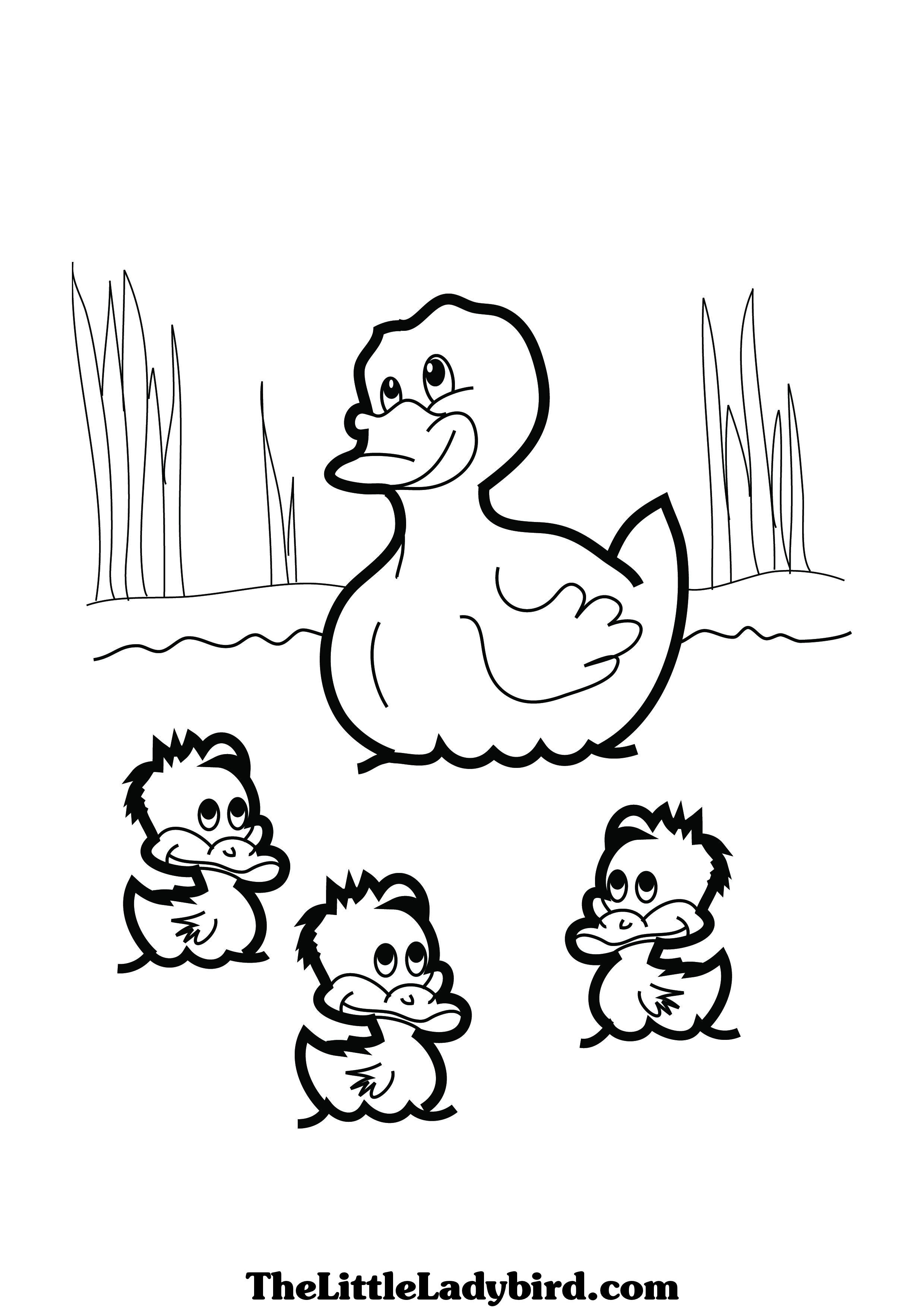 Baby Duck Coloring Pages To Print 13196 For Sharry Me Picturesque 2480x3508 Baby Duck Coloring Pages To Print 13196 For Sharry Me Picturesque
