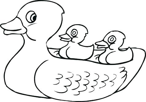 476x333 Coloring Pages Duck Duck Coloring Pages Download And Print Duck