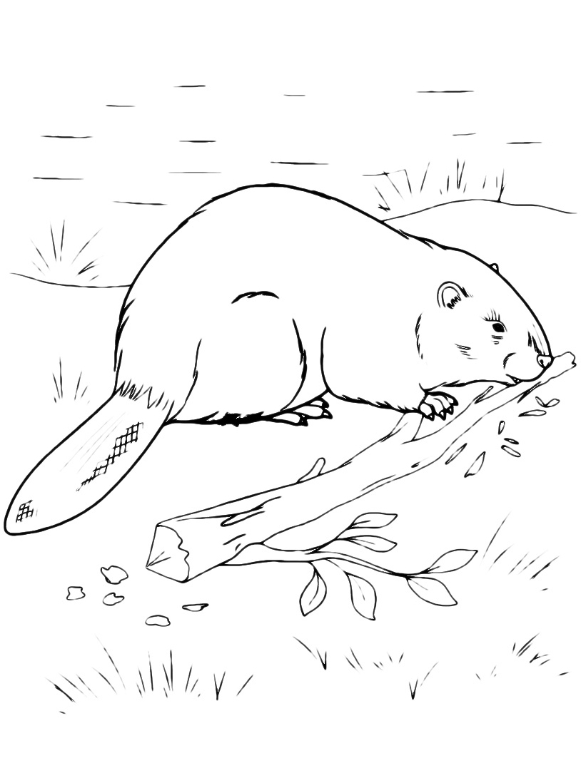 814x1091 25 Skull Coloring Pages Collections Free Coloring Pages