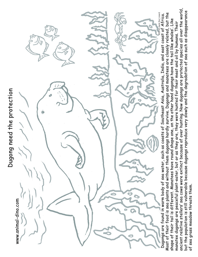 757x980 Animal Coloring Page (Dugong) Print Size