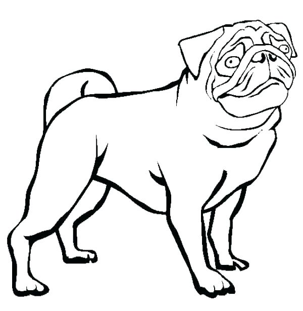 Pug Coloring Pages Printable Bulldog Dutch Page Bulldo 600x614 Pug Coloring Pages Printable Bulldog Dutch Page Bulldo